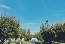 Camin Varstnici Moara Vlasiei Camin Varstnici Moara Vlasiei - CAMINUL MIHAELA