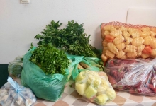 Camin Varstnici Timisoara Camin Varstnici Timisoara - CASA FABIAN