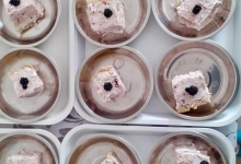 Camin Varstnici Timisoara Camin Varstnici Timisoara - CASA FABIAN