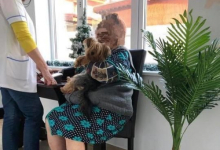 Camin Varstnici Buftea Camin Batrani Buftea - Adina