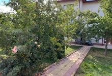 Camin Varstnici Baicoi Camin Varstnici Baicoi - Camin Adina