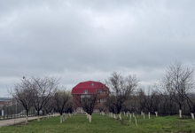 Camin Varstnici Stefan cel mare Camin Varstnici Stefan cel Mare - Camin Adina